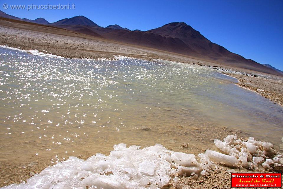 BOLIVIA 2 - Laguna Blanca - 13.jpg